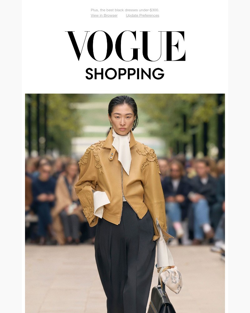 Screenshot of email with subject /media/emails/trending-today-leopard-leather-and-lace-5f9731-cropped-3c32aa3f.jpg