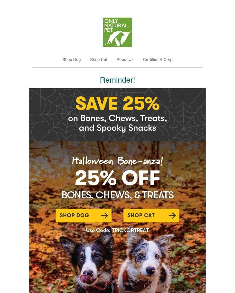 Screenshot of email with subject /media/emails/trick-or-treat-definitely-treat-now-25-off-d8e60f-cropped-4f61df76.jpg