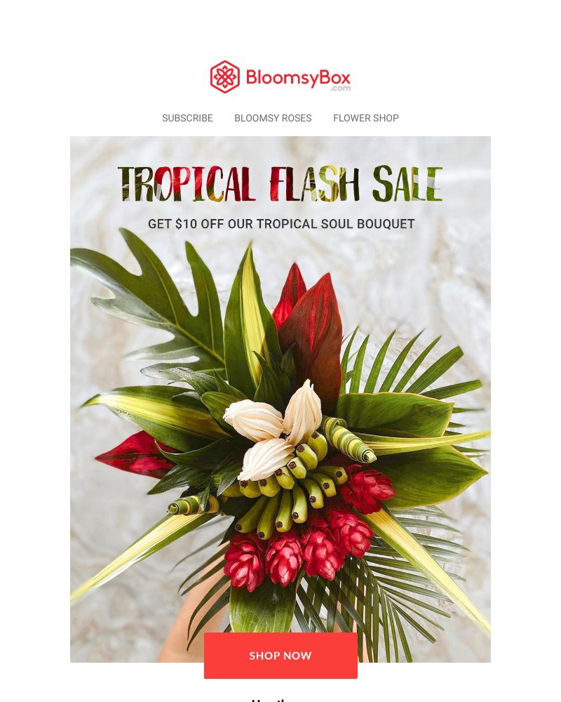 Screenshot of email with subject /media/emails/tropical-soul-flash-sale-2db8ae-cropped-01135a33.jpg