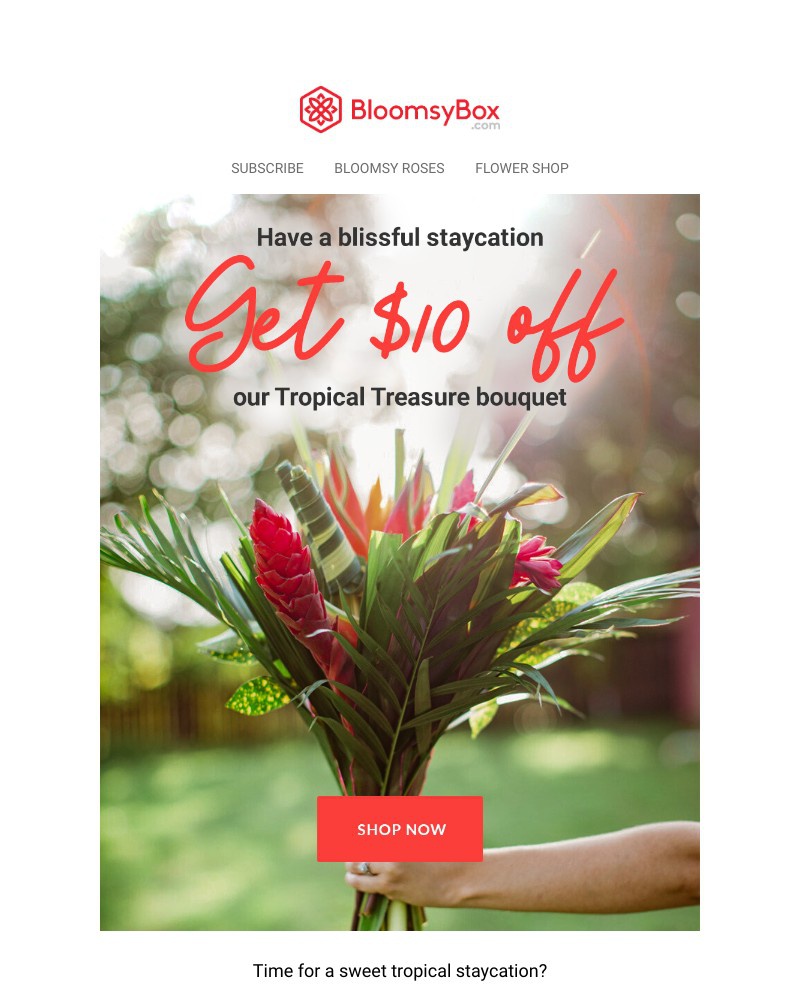 Screenshot of email with subject /media/emails/tropical-treasure-flash-sale-8e3d88-cropped-4a89404f.jpg