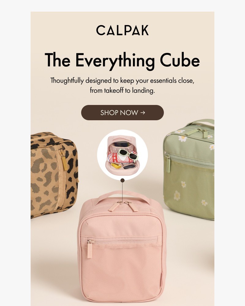 Screenshot of email with subject /media/emails/truly-the-perfect-little-carry-all-a34bc4-cropped-f353d2cb.jpg