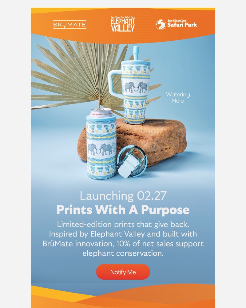 Screenshot of email with subject /media/emails/trumpeting-your-way-f741dd-cropped-0d07836e.jpg