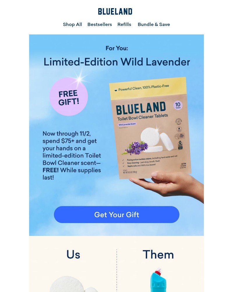 Screenshot of email sent to a Blueland Newsletter subscriber