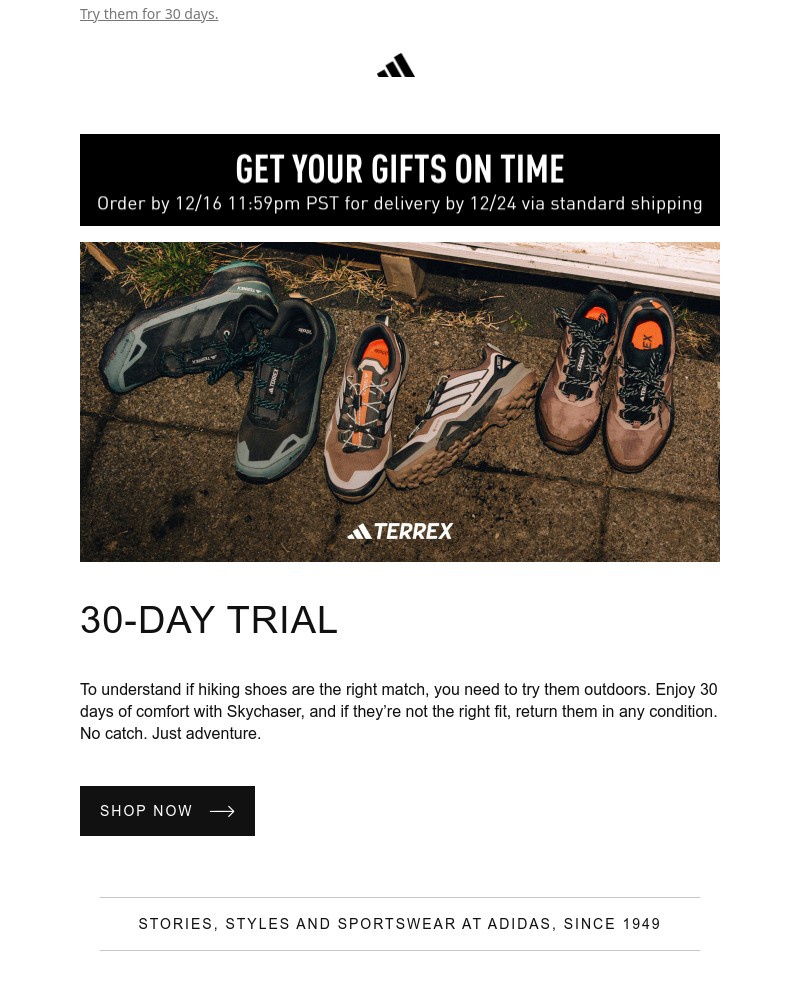 Screenshot of email with subject /media/emails/try-terrex-skychasers-outdoors-risk-free-for-30-days-18b7d1-cropped-c480aec1.jpg