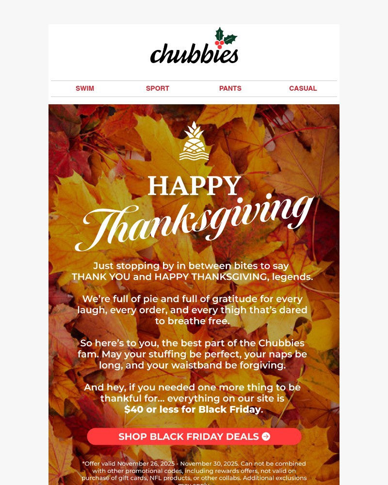 Screenshot of email with subject /media/emails/turkey-stuffing-and-black-friday-deals-35e250-cropped-0c62f2e3.jpg