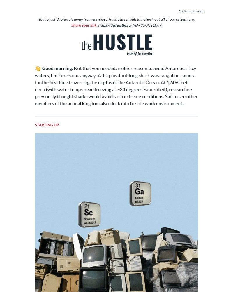 Screenshot of email with subject /media/emails/tvs-gone-to-the-dogs-b8d01b-cropped-51fd8935.jpg