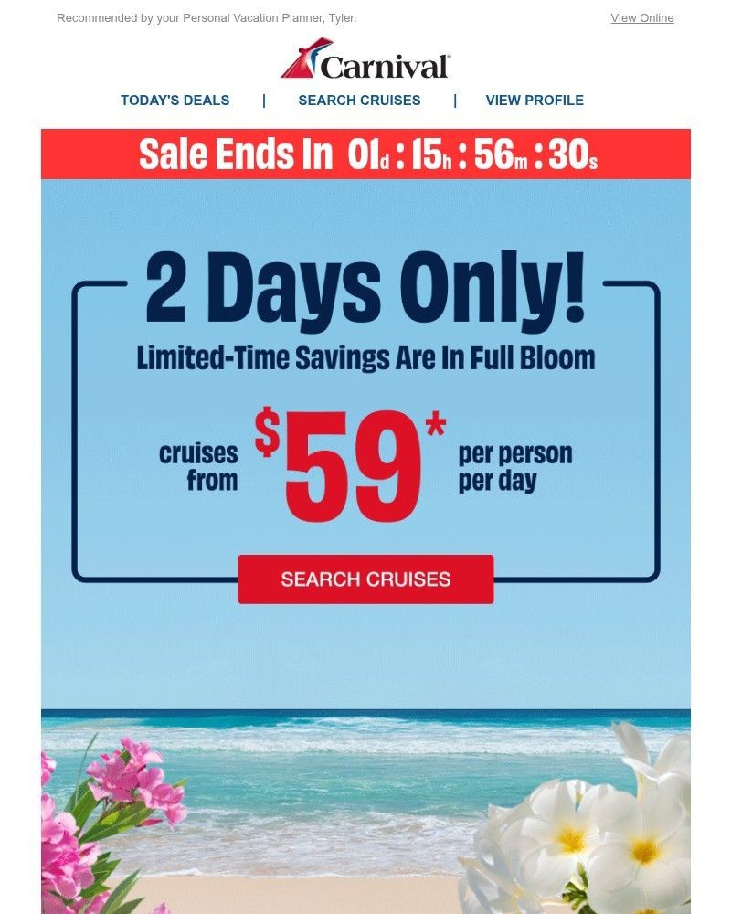 Screenshot of email with subject /media/emails/two-days-left-b1b022-cropped-4844d9c0.jpg