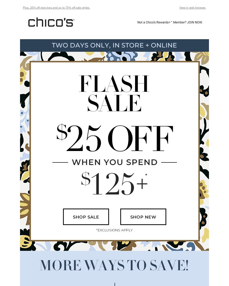 Screenshot of email with subject /media/emails/two-days-only-25-off-125-486d8a-cropped-48e1e6d5.jpg