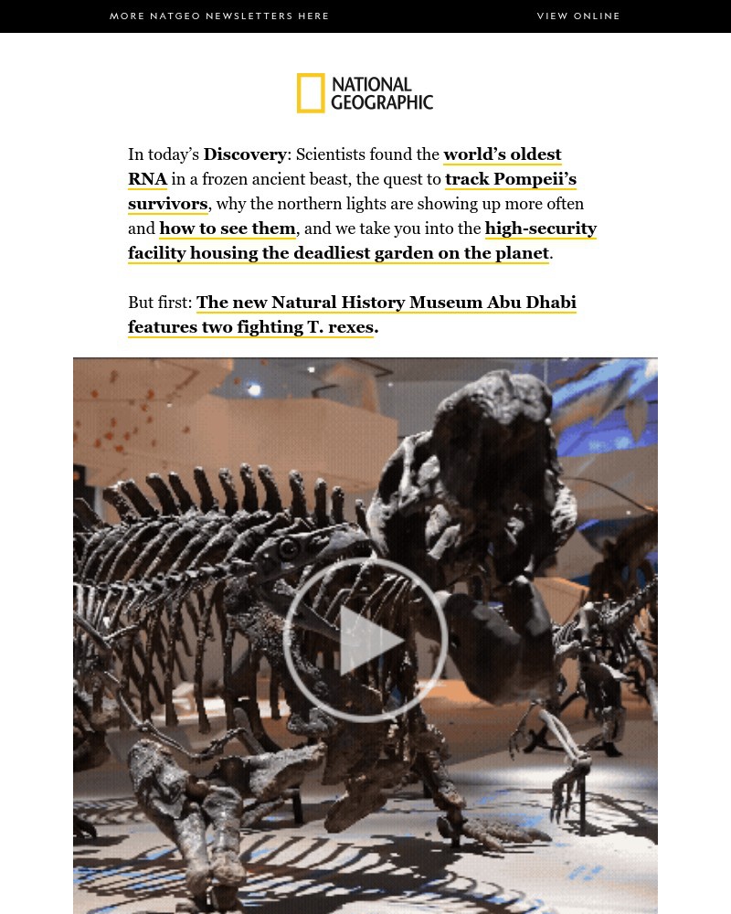 Screenshot of email with subject /media/emails/two-fighting-t-rexes-where-to-see-northern-lights-did-anyone-survive-pompeii-5202_VUlCpY6.jpg
