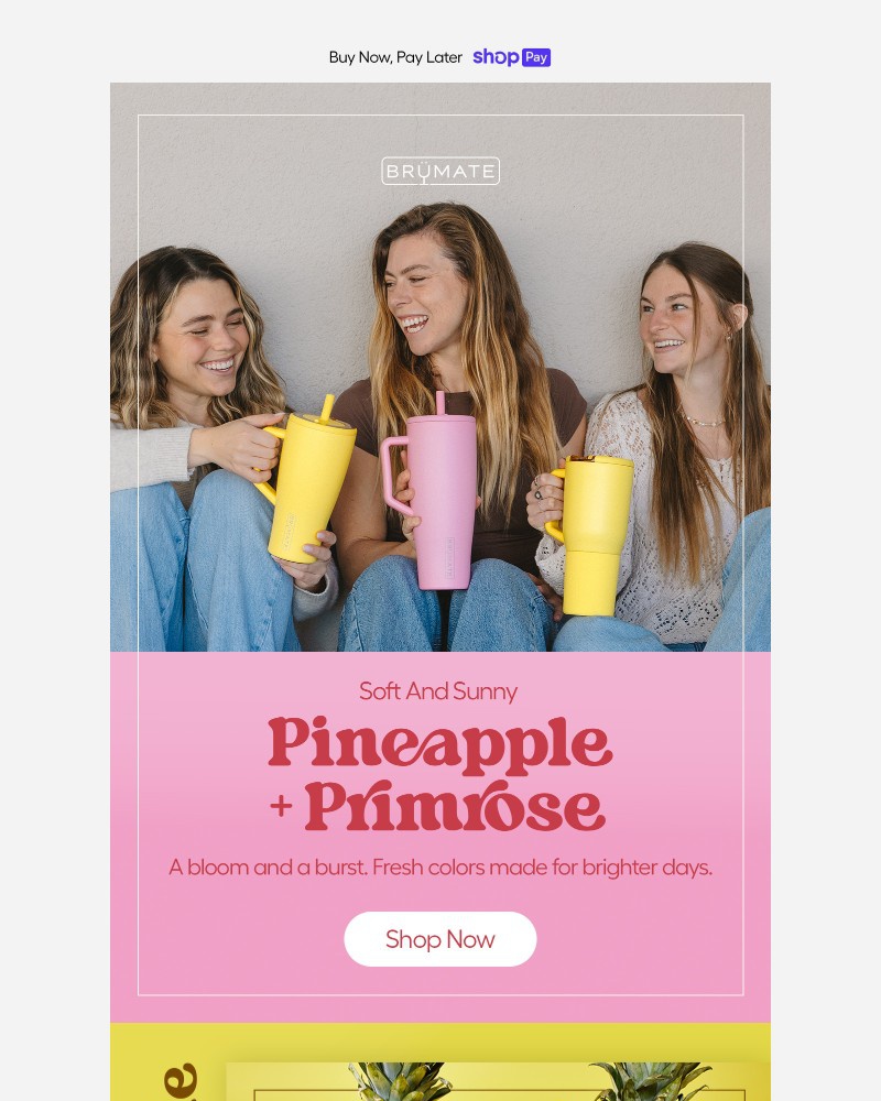 Screenshot of email sent to a BruMate Newsletter subscriber