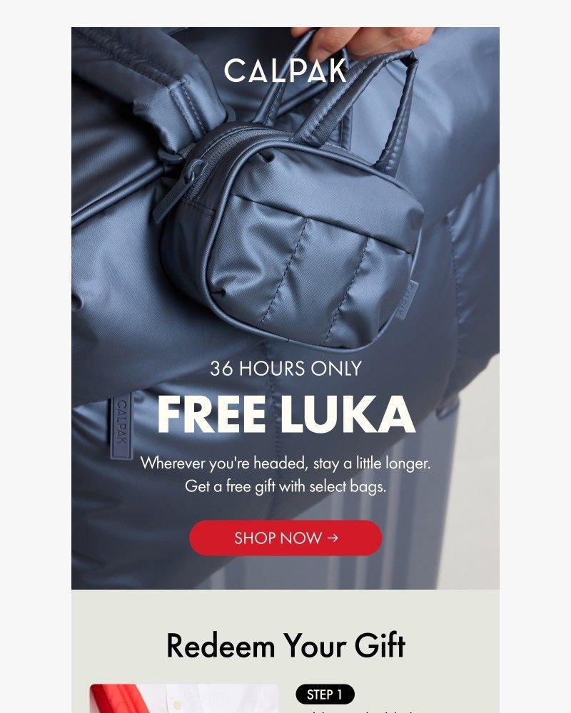 Screenshot of email with subject /media/emails/two-words-free-luka-722825-cropped-aa8bb4e7.jpg