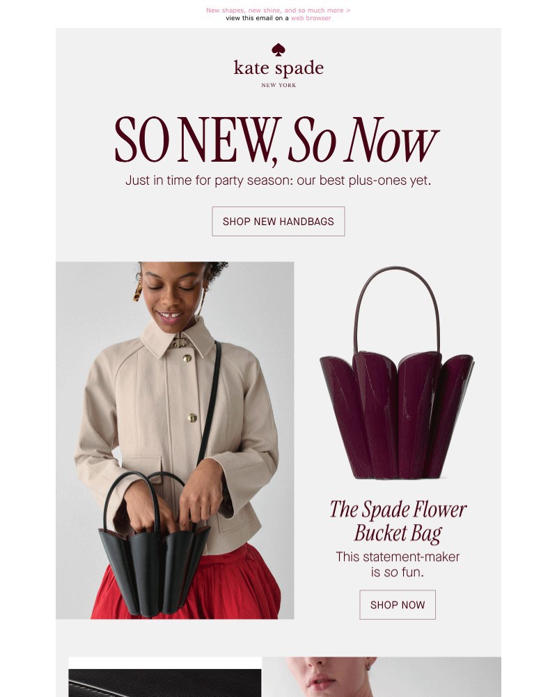 Screenshot of email with subject /media/emails/two-words-new-bags-a114c8-cropped-affcb925.jpg