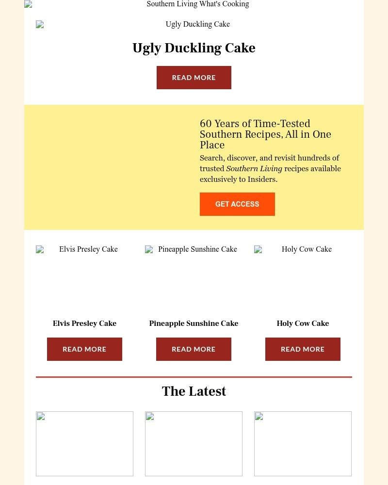 Screenshot of email with subject /media/emails/ugly-duckling-cake-b83e49-cropped-c0e3ecef.jpg