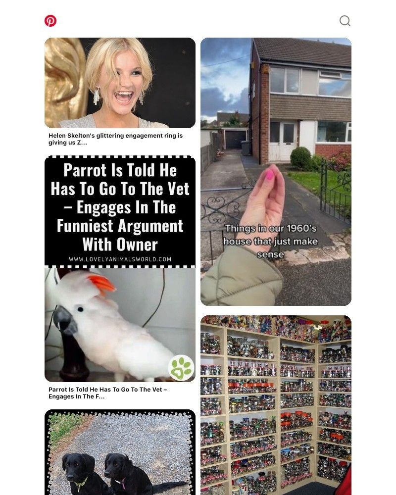 Screenshot of email sent to a Pinterest Registered user