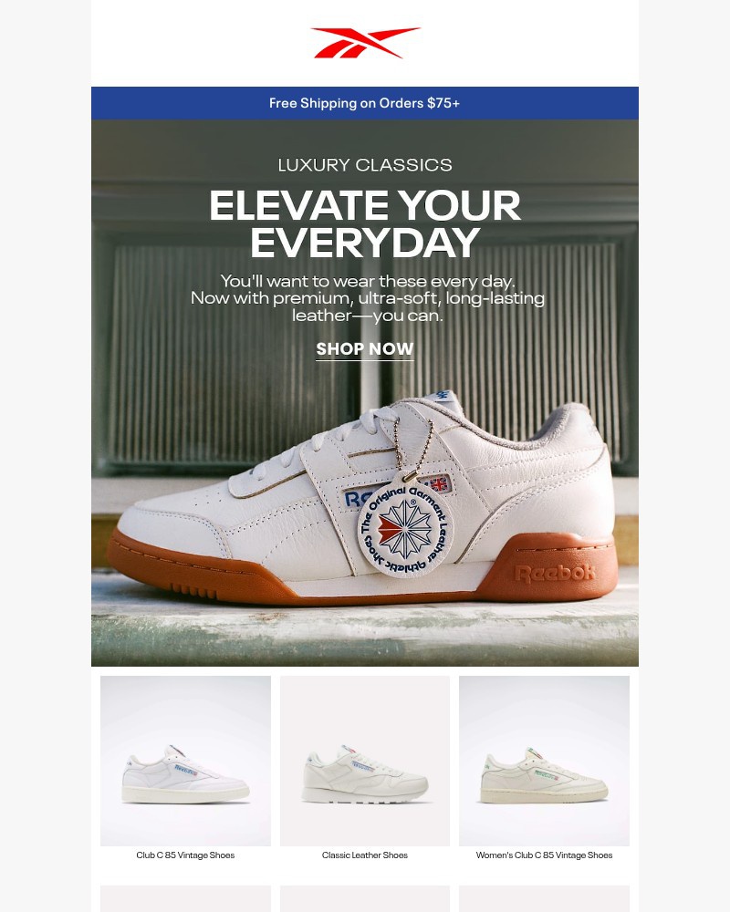 Screenshot of email with subject /media/emails/ultra-soft-premium-leather-styles-6ec343-cropped-4f354268.jpg