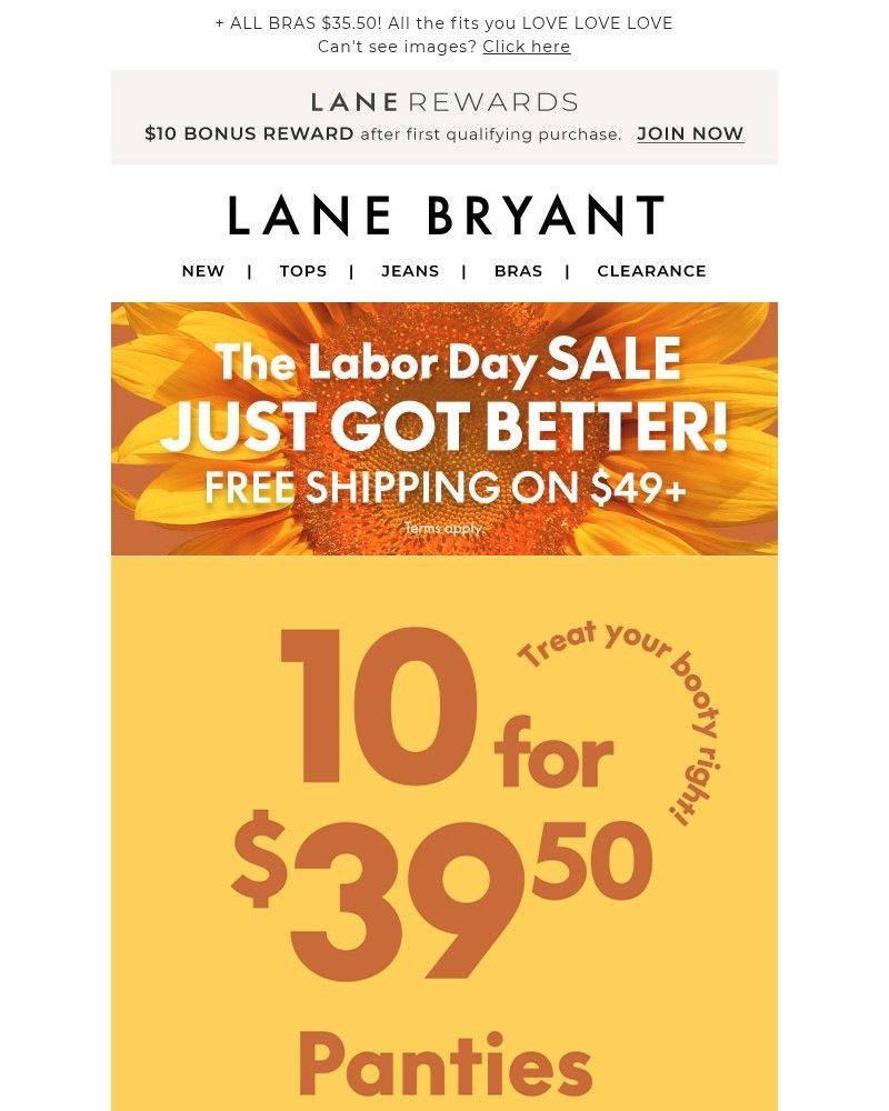 Screenshot of email with subject /media/emails/umm103950-panties-just-entered-the-sale-12c78a-cropped-b99b0e87.jpg