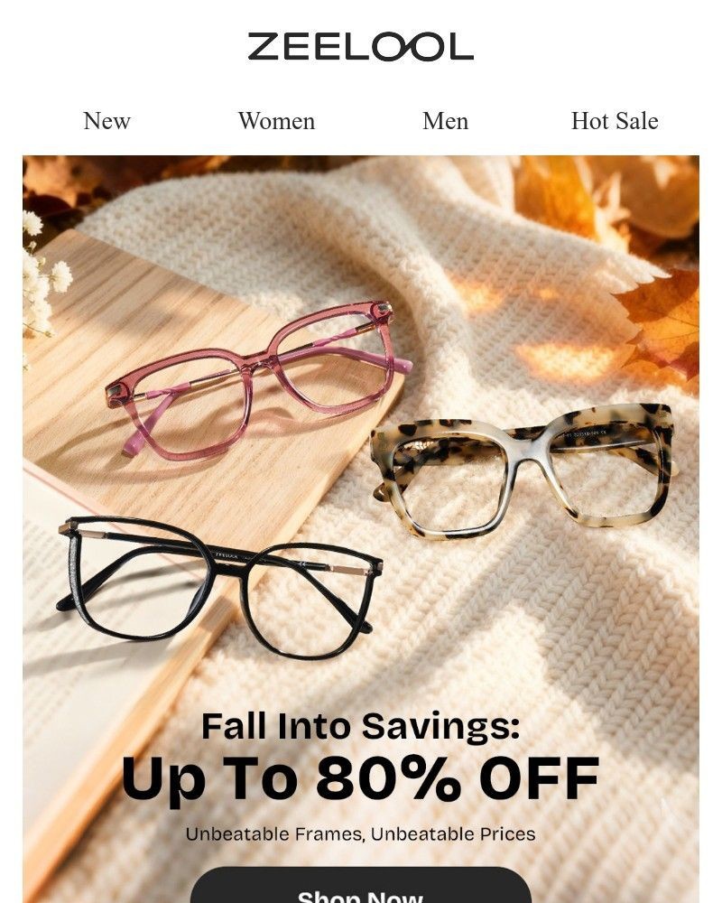 Screenshot of email with subject /media/emails/unbeatable-frames-unbeatable-prices-8127b5-cropped-1ea91214.jpg