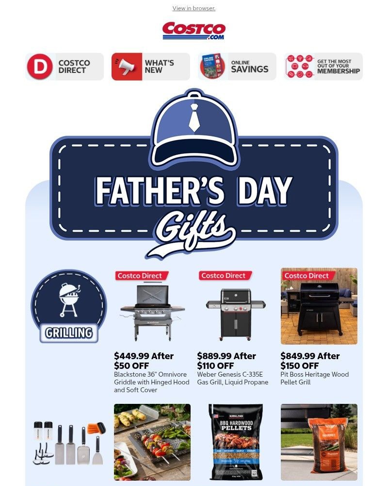 Screenshot of email sent to a Costco Newsletter subscriber