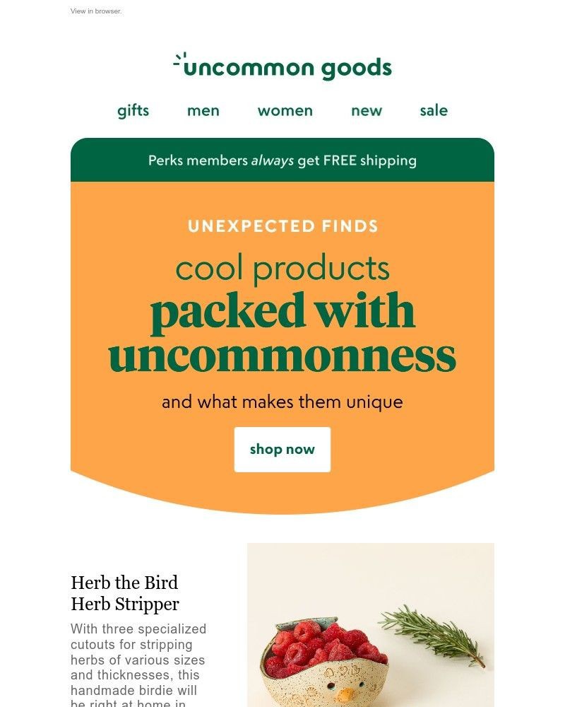 Screenshot of email sent to a UncommonGoods Newsletter subscriber