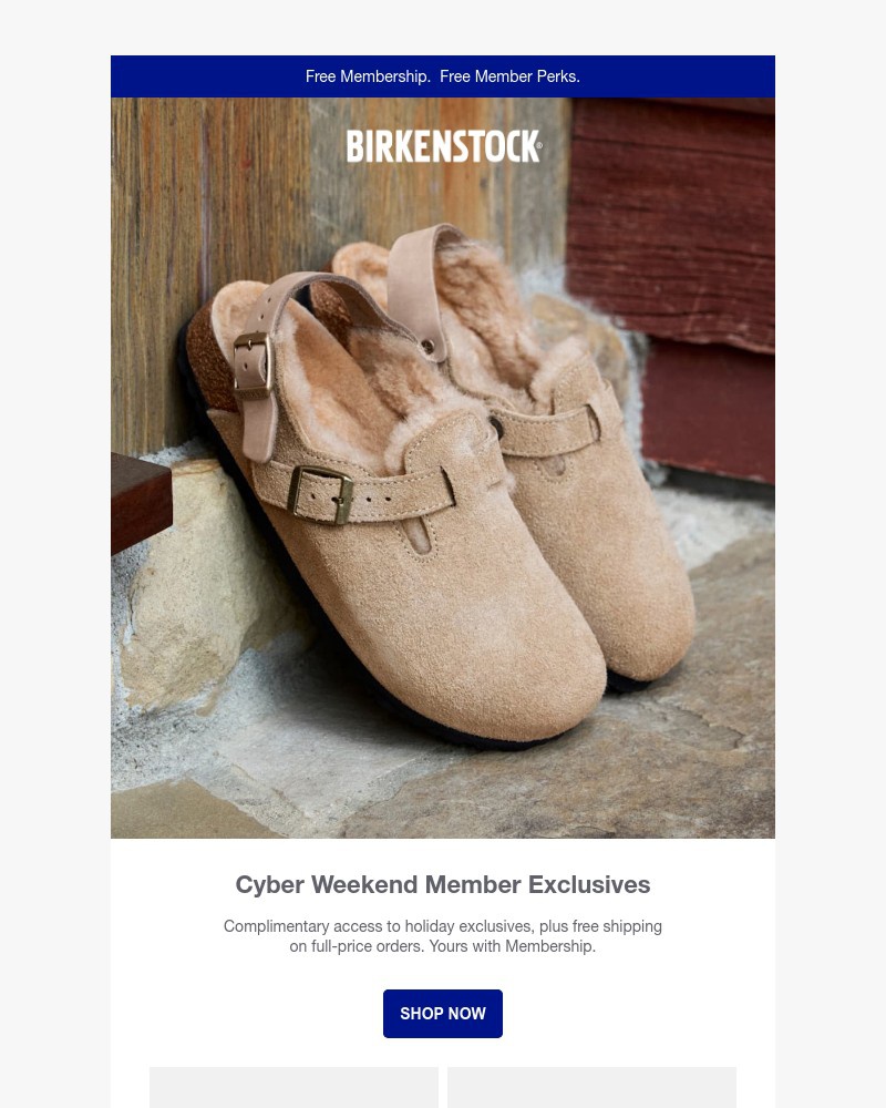 Screenshot of email with subject /media/emails/unlock-cyber-weekend-exclusives-with-free-membership-3d750b-cropped-df083e12.jpg