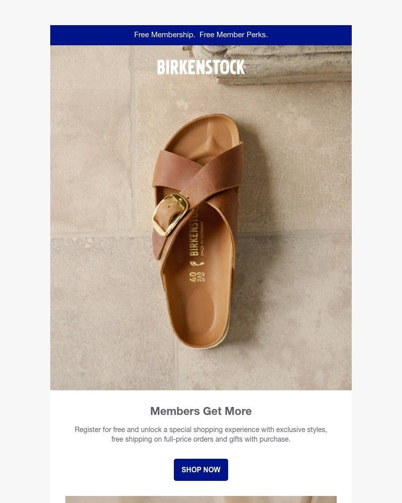 Screenshot of email with subject /media/emails/unlock-early-access-new-spring-exclusives-48a69c-cropped-b031aaa6.jpg