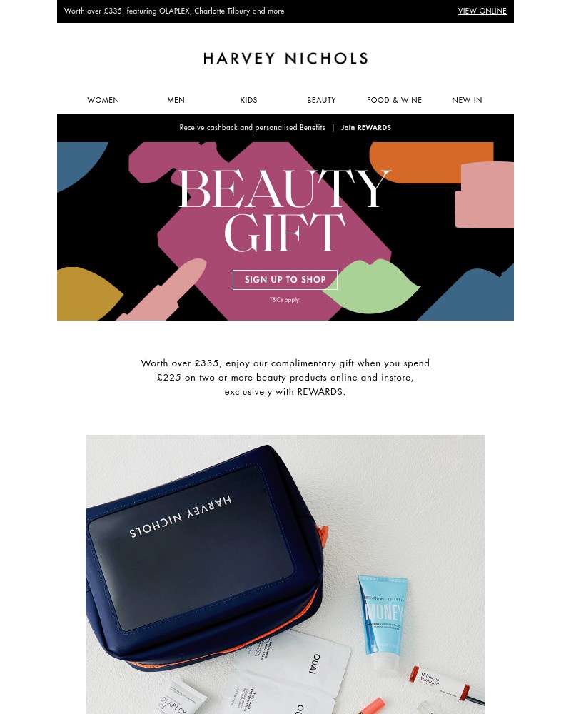 Screenshot of email with subject /media/emails/unlock-your-exclusive-beauty-gift-with-rewards-6b72c5-cropped-5c744002.jpg