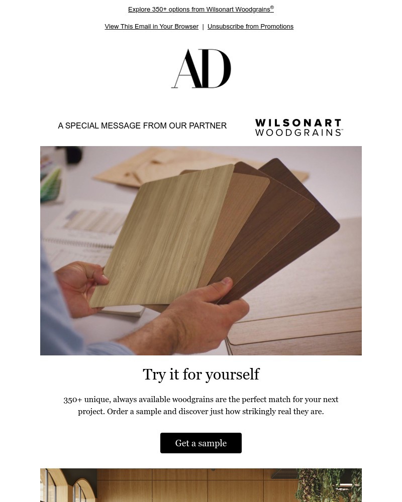 Screenshot of email with subject /media/emails/unreal-beauty-at-an-unreal-price-1e63d0-cropped-e5b003a1.jpg