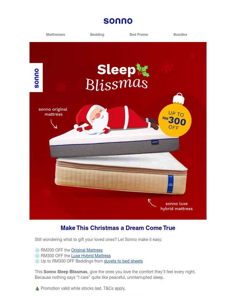 Screenshot of email sent to a Sonno Newsletter subscriber