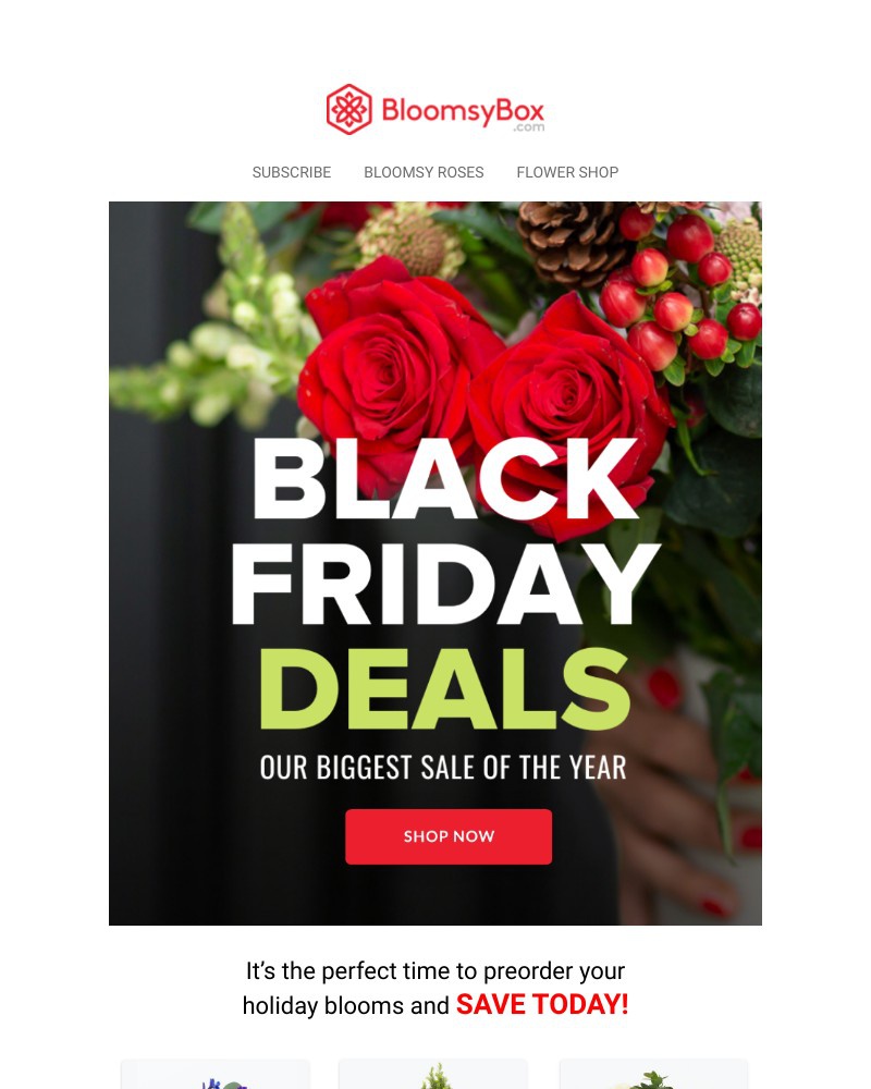 Screenshot of email with subject /media/emails/unwrap-this-special-offer-053e57-cropped-d6930bf0.jpg