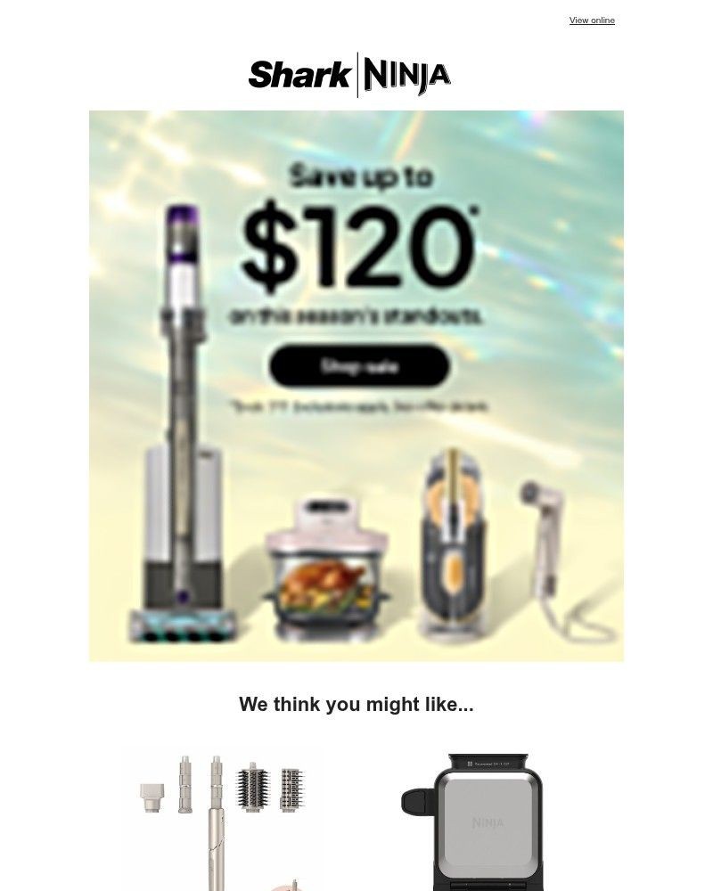 Screenshot of email with subject /media/emails/up-to-120-off-the-seasons-standouts-805068-cropped-732775a9.jpg