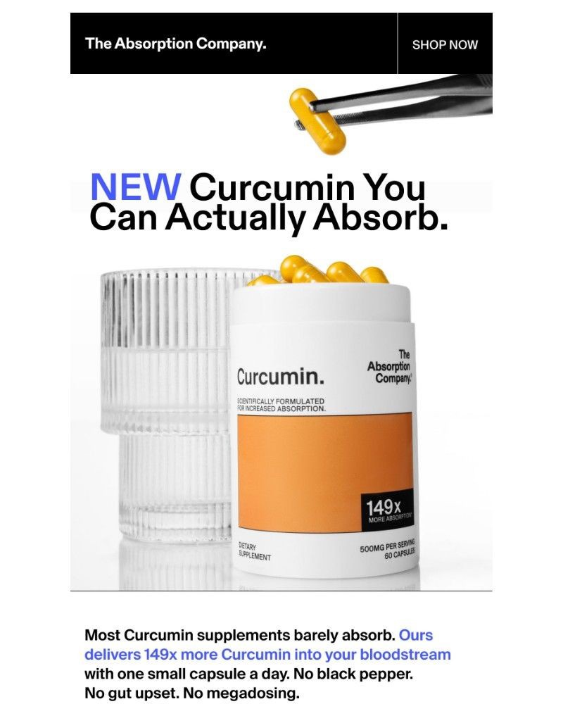 Screenshot of email sent to a The Absorption Company Newsletter subscriber