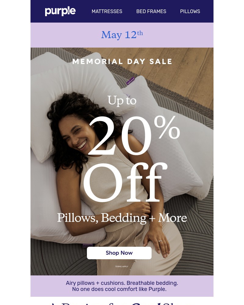 Screenshot of email with subject /media/emails/up-to-20-off-cooling-pillows-bedding-2b26f4-cropped-42b73ed3.jpg