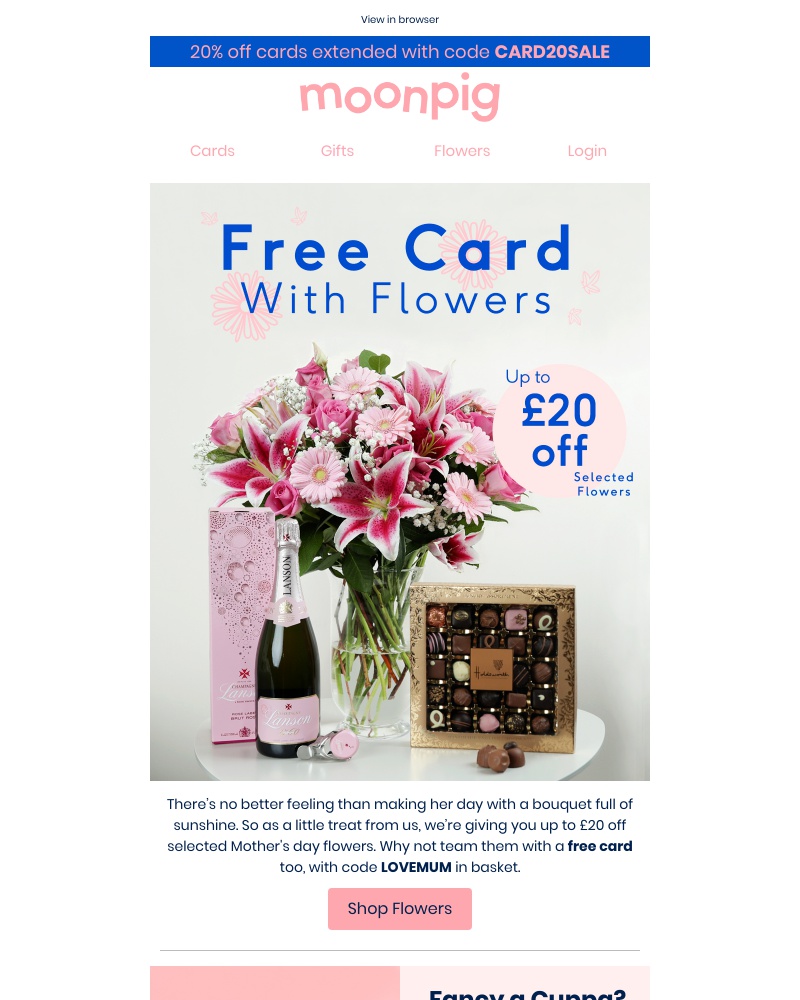 Screenshot of email with subject /media/emails/up-to-20-off-flowers-cropped-51b45095.jpg