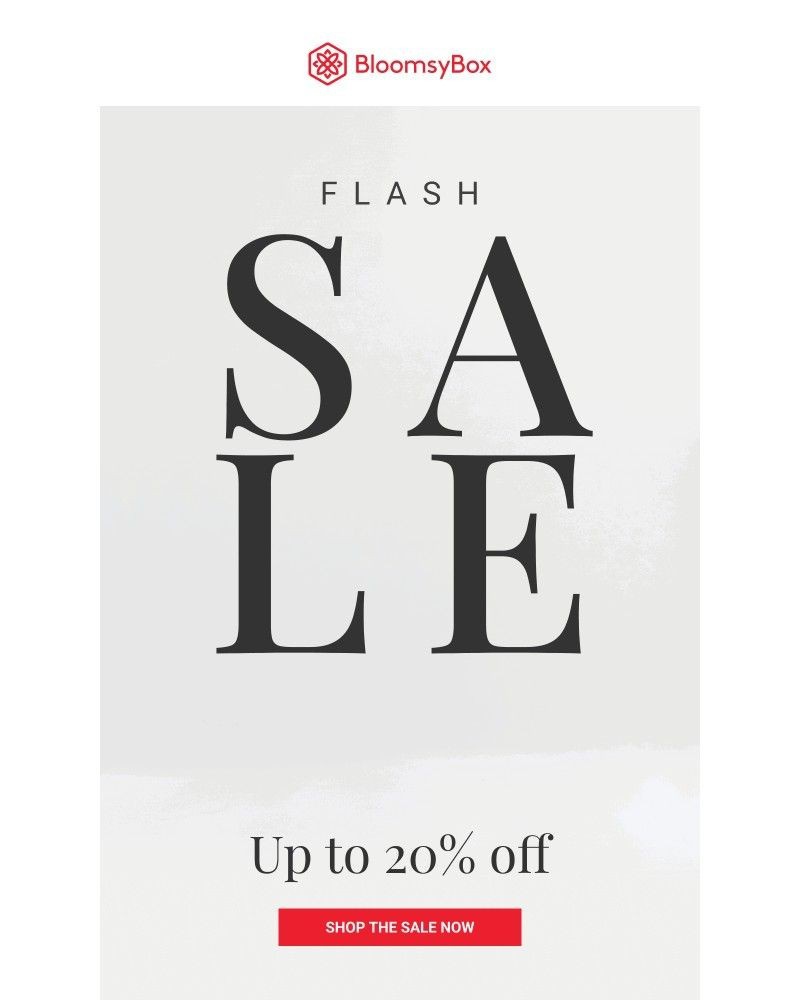 Screenshot of email with subject /media/emails/up-to-20-off-in-todays-flash-sale-8d0303-cropped-56b1c2b9.jpg