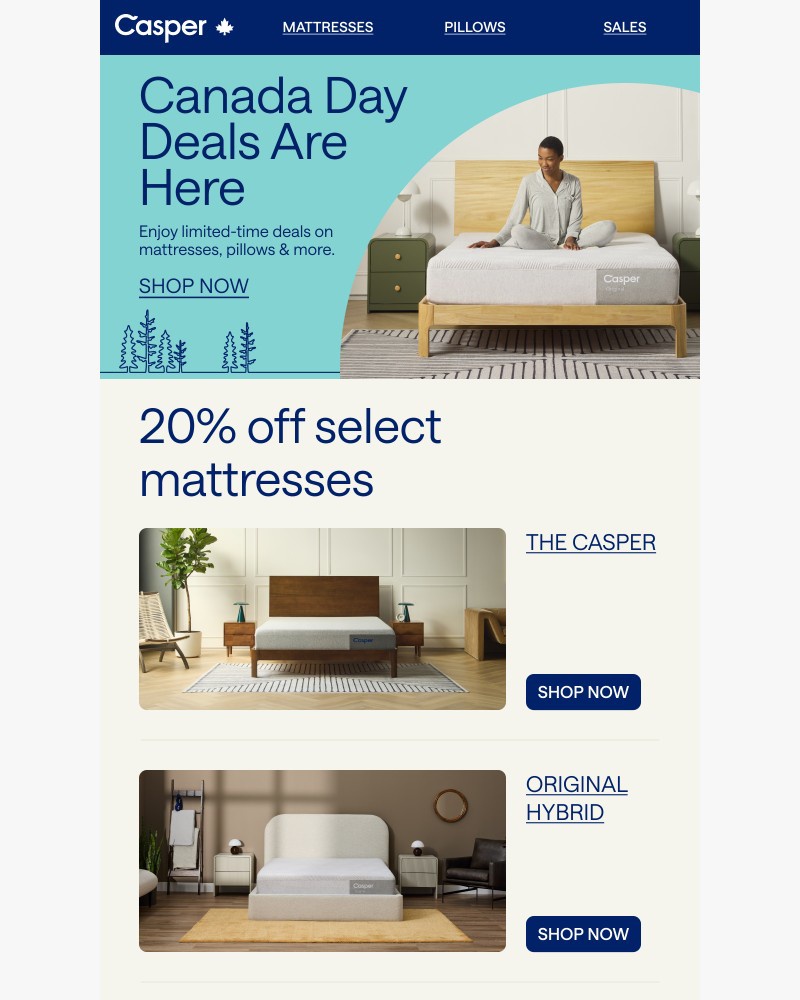 Screenshot of email with subject /media/emails/up-to-20-off-mattresses-c1b944-cropped-45b6d9c8.jpg
