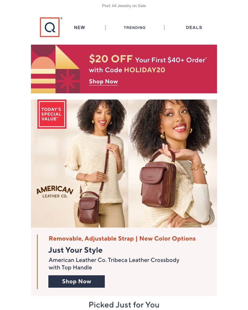 Screenshot of email with subject /media/emails/up-to-30-off-bags-get-the-tsv-get-20-off-fcea07-cropped-5ae860ac.jpg