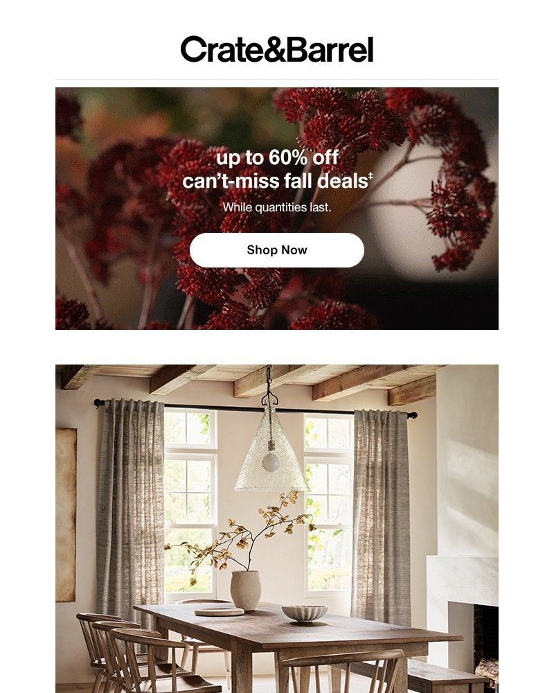 Screenshot of email with subject /media/emails/up-to-30-off-the-thanksgiving-dining-room-event-starts-now-50a6a3-cropped-d2230e9f.jpg