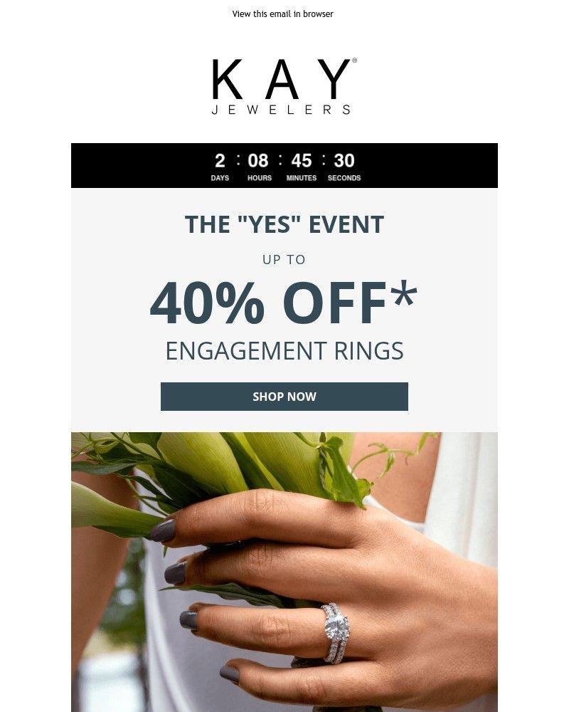 Screenshot of email sent to a Kay Newsletter subscriber