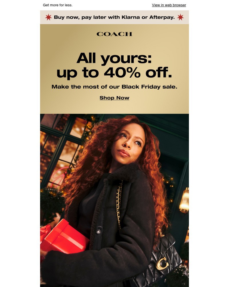 Screenshot of email with subject /media/emails/up-to-40-off-for-black-friday-319a42-cropped-1f895a22.jpg