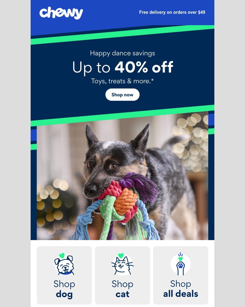 Screenshot of email sent to a Chewy Registered user