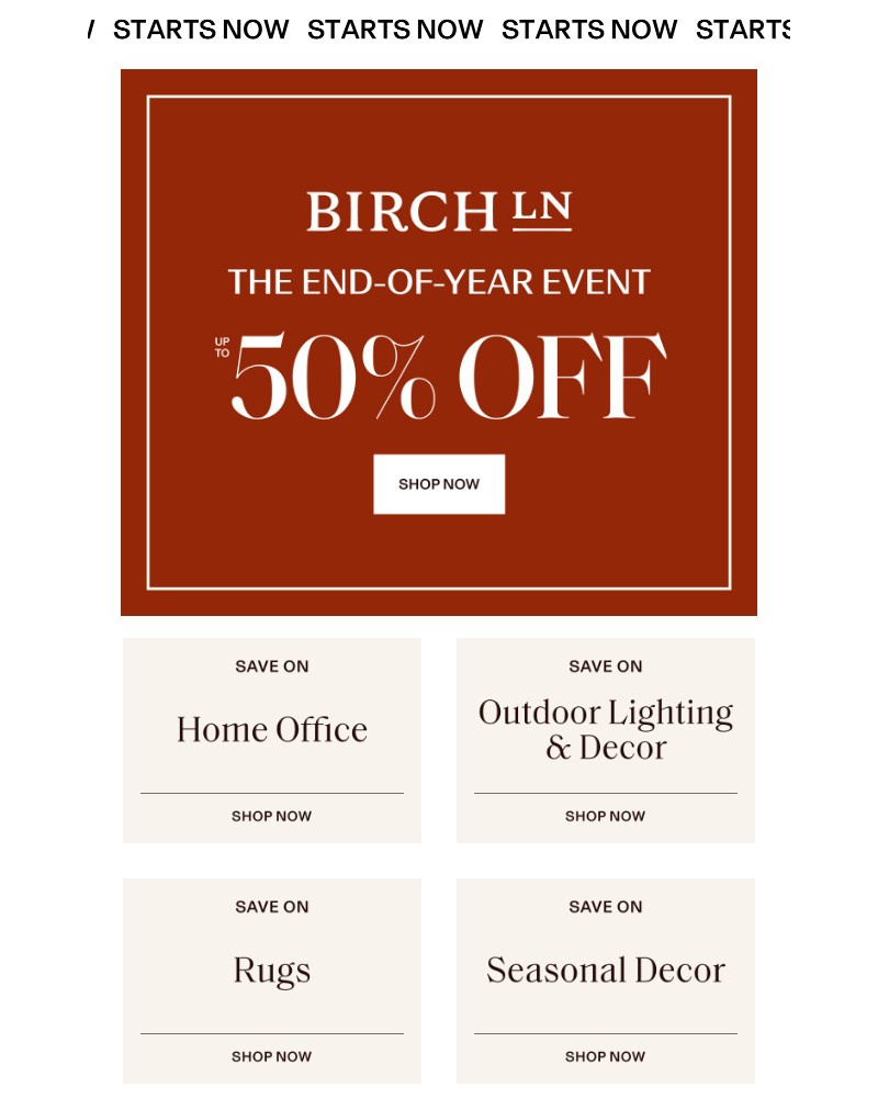 Screenshot of email sent to a Birch Lane Newsletter subscriber