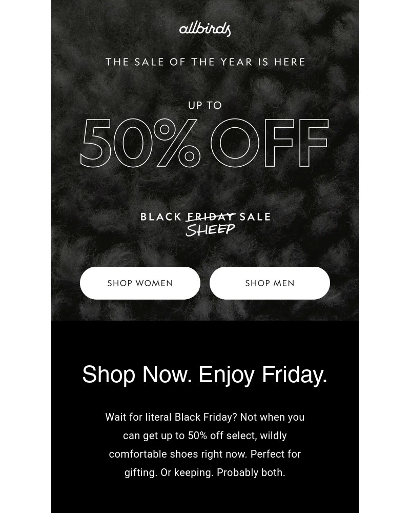 Screenshot of email sent to a Allbirds Newsletter subscriber