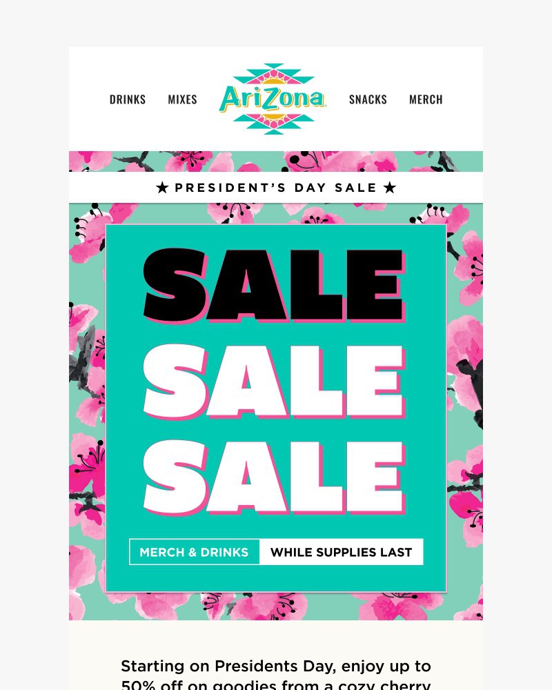 Screenshot of email sent to a AriZona Newsletter subscriber