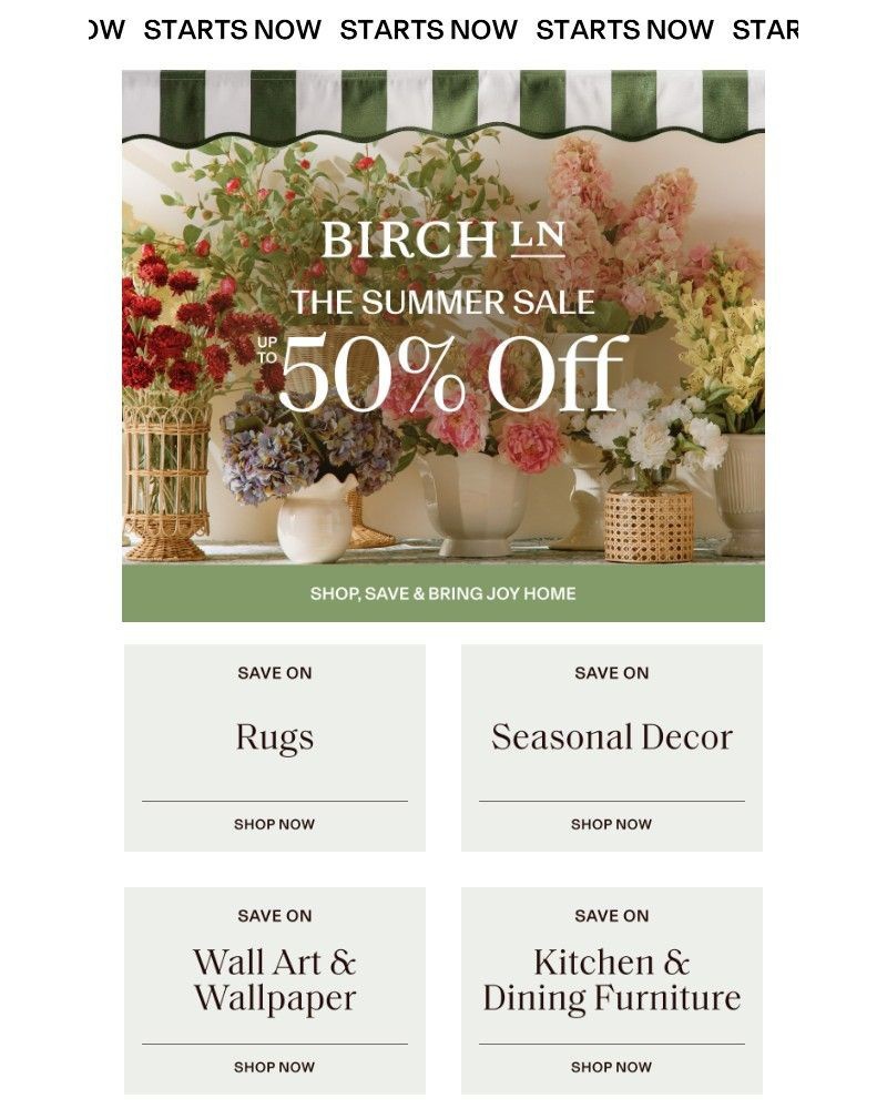 Screenshot of email with subject /media/emails/up-to-50-off-rugs-heres-to-an-endless-summer-fd1913-cropped-27880331.jpg