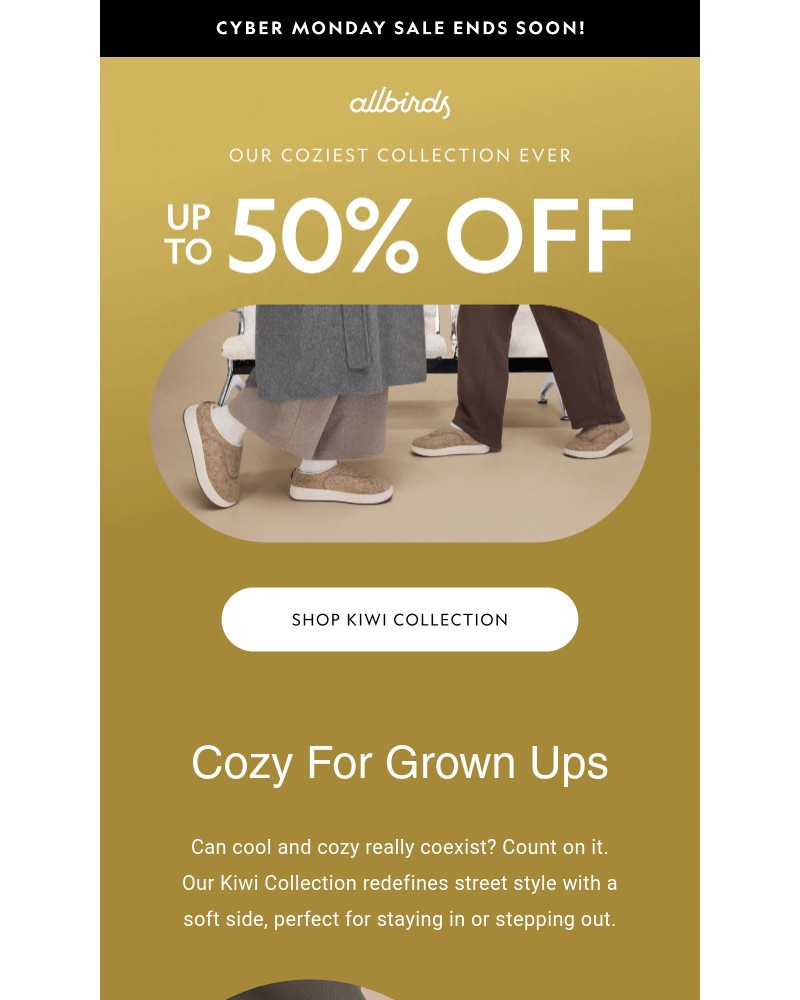 Screenshot of email with subject /media/emails/up-to-50-off-serious-coziness-7dfe42-cropped-69470484.jpg