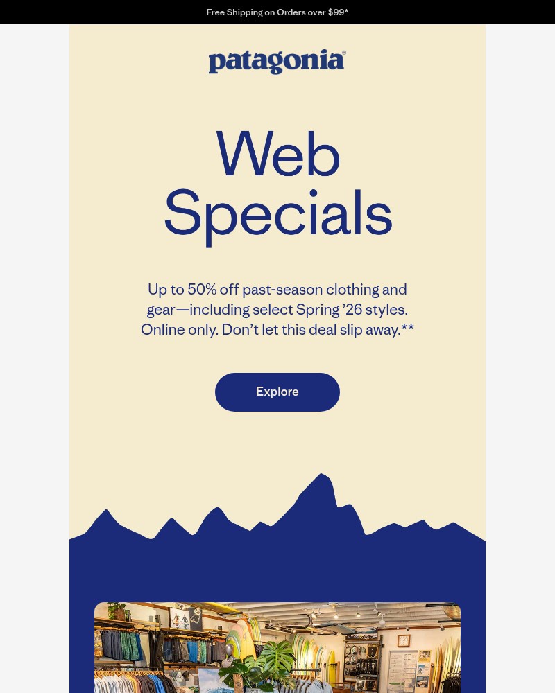 Screenshot of email sent to a Patagonia Newsletter subscriber