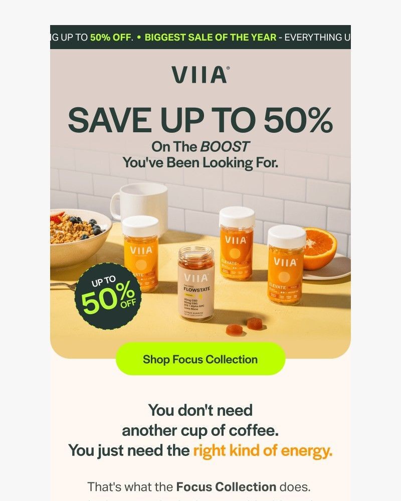 Screenshot of email sent to a VIIA Newsletter subscriber