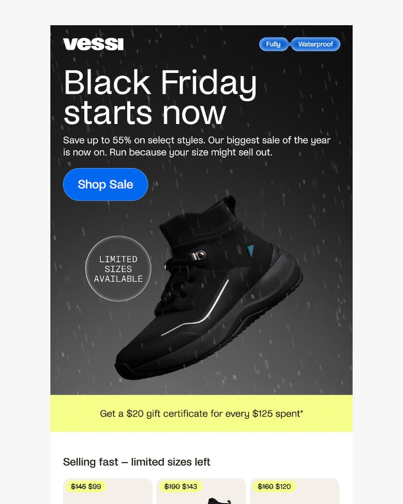 Screenshot of email with subject /media/emails/up-to-55-off-black-friday-is-here-f8cbcd-cropped-fdddaadf.jpg