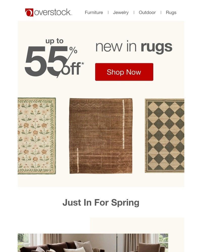 Screenshot of email with subject /media/emails/up-to-55-off-new-rug-arrivals-b4b300-cropped-56f40f85.jpg