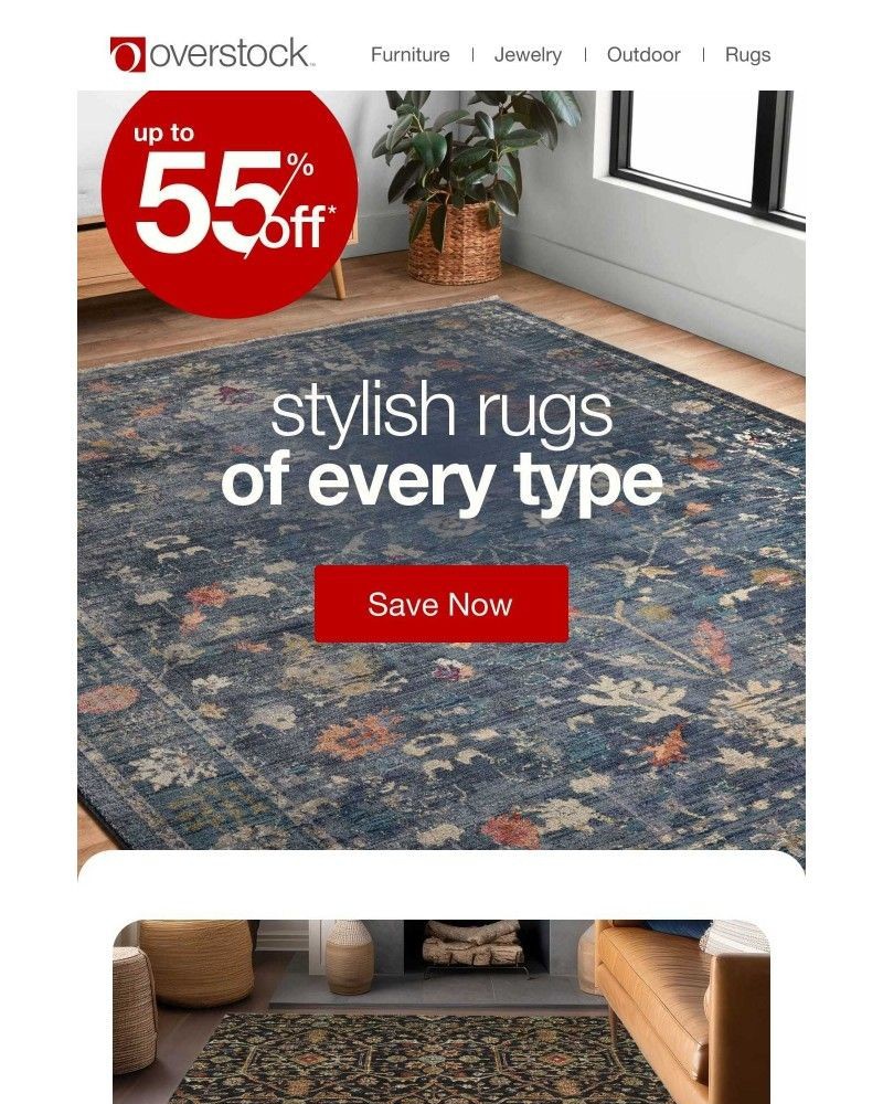 Screenshot of email with subject /media/emails/up-to-55-off-rugs-that-work-as-hard-as-you-do-45e6c3-cropped-1dd6898e.jpg